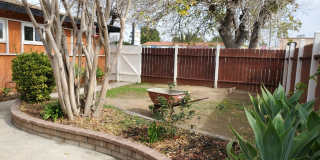 3 bed/3 bath + LARGE BONUS ROOM and YARD for Assisted Living/Sober Living/Detox/Rehab Facility. Gallery 28