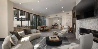 Accent Gallery 6
