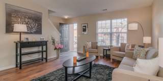 Mountain Brook Gallery 4