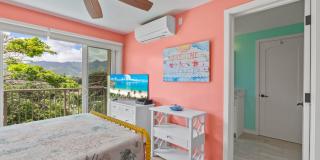 Waialua Ocean View Villa w/ Pool, kids play structure - walk to beach Gallery 42