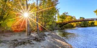 316 East 46th Place Gallery 10