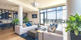 Cortland M-Line Gallery 23