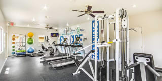 Diamond Vista Gallery 9