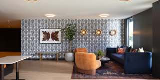 Orlo & Alba Gallery 24