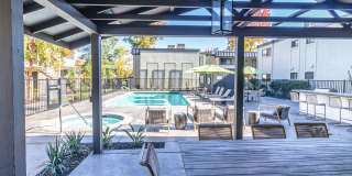 Terra Vida Gallery 2