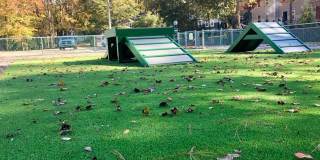 Forest Hills Racquet Club Gallery 21