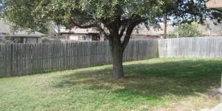 114 Nelson Drive Gallery 13