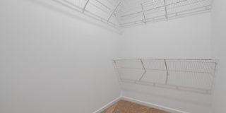 Primrose at Santa Rosa Beach Gallery 23