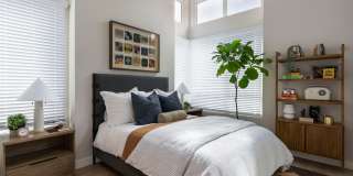 The Tolman Gallery 24