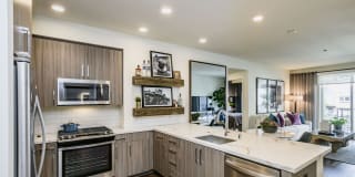 The Flats Cityline The Flats Cityline Gallery 26