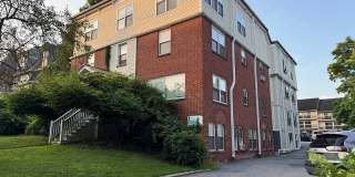 361 Pearl Street, Unit 3 Gallery 1