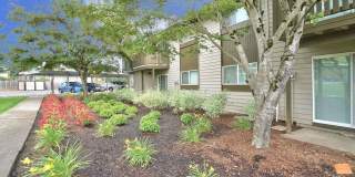 The Zimmer Gallery 35