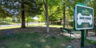 Harbor Oaks Apartment Homes Gallery 22