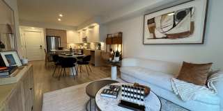 Caroline at Golden Glades Gallery 12