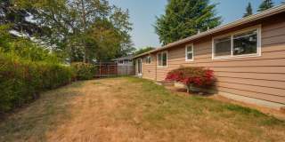 3 Bed / 1.5 Bath Auburn Rambler - Large Yard! 3 Bed / 1.5 Bath Auburn Rambler - Large Yard! Gallery 7