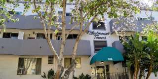 Westmount Towers Gallery 8