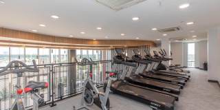 Live Grandscape Gallery 17