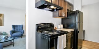 The Maxwell Gallery 15