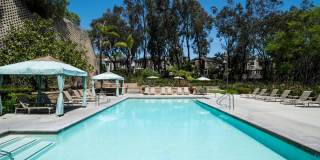 Artisan in Laguna Beach Gallery 16