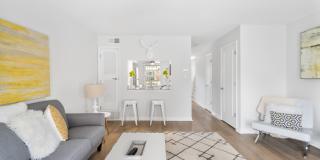 Monon Living Gallery 9