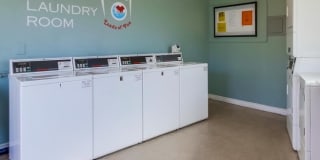 Mesa Vista Gallery 14