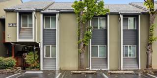 Fairmount Park Gallery 51