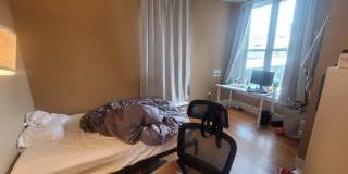 Massive Luxury Apt in Packards Corner Near BU!  Central AC & Heat, XL Rooms! Gallery 11