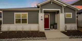 Yardly Elm Gallery 1