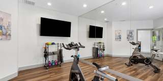 Promenade at Carillon Gallery 22