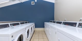 Maplewood Apartment Homes Gallery 8