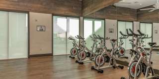 Territory at Greenhouse Gallery 21