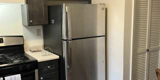 461 Ocean Boulevard Gallery 6