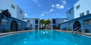 The Madeira Gallery 1