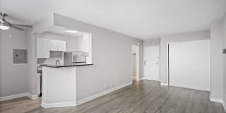 Dominion Plaza Gallery 19