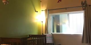 3+ Bedroom Custom Eastside Home Gallery 11