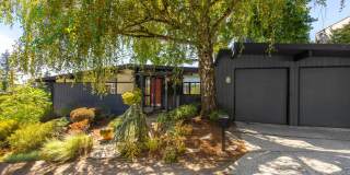 Light-Filled First Hill Mid-Century with Sauna & Designer Updates Gallery 1
