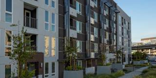 The Harlowe Apartment Homes Gallery 23