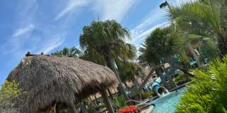 1266 Royal Saint George Boulevard Gallery 18