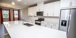 1296 FOGGY Turn Gallery 3
