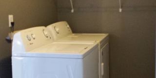 137 George Street Gallery 15