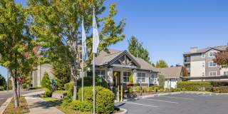 Sofi at Cedar Mill Gallery 35