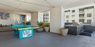 Vive Luxe Gallery 42