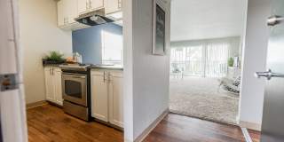 The Aviator apartments Gallery 21