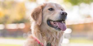 Axiom Apartment Homes Gallery 24