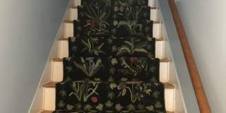 13 Poinsettia Avenue 13 Poinsettia Avenue Gallery 1