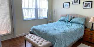 220 Cape Shores Circle Gallery 7