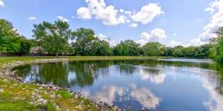 Bradford Lake Gallery 7