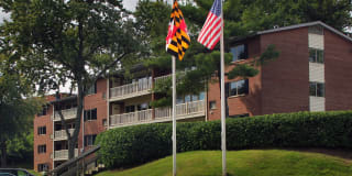 The Milano Gallery 11