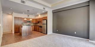 Boca Raton Gallery 35