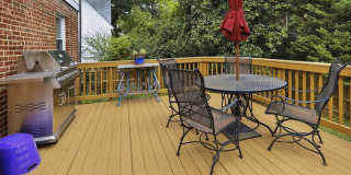 Urban Oasis in Takoma Park - 7407 Wildwood Dr, Takoma Park, MD 20912 Gallery 1